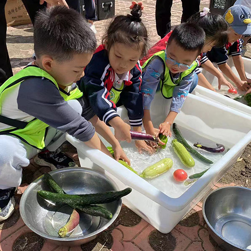 2023年某幼儿园亲子活动